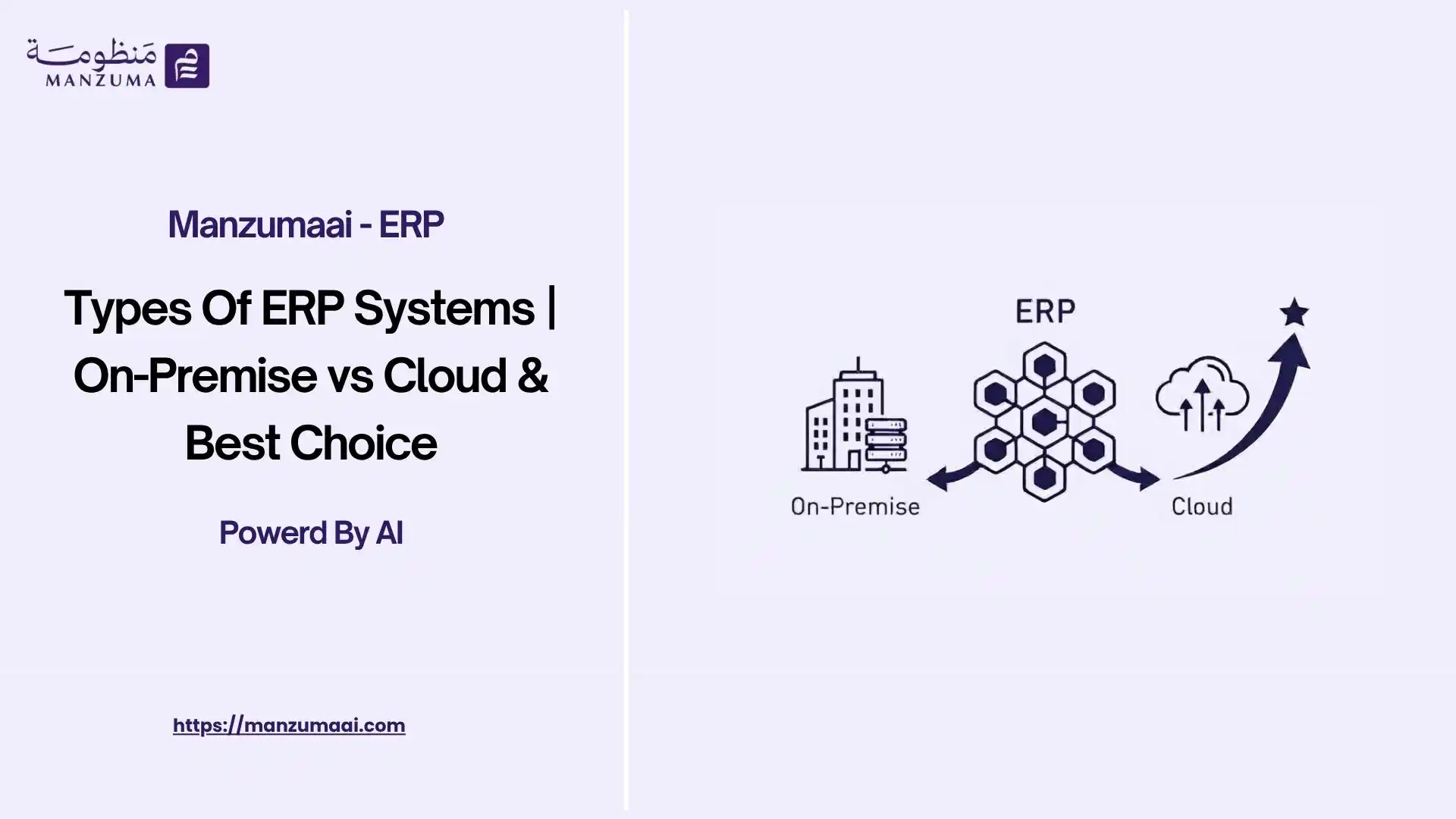 Types Of ERP Systems | On-Premise vs Cloud & Best Choice